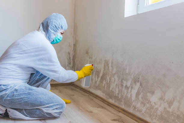 Hvac And Air Duct Mold Remediation inspection of HVAC system in Elizabethtown